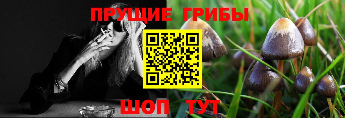 Галлюциногенные грибы Cubensis  Вход с VPN  Мурино 