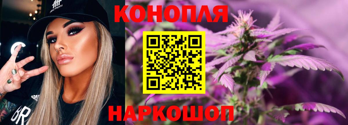 Бошки марихуана гибрид Мурино